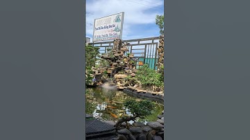 Non bộ tiểu cảnh có một không hai của anh tôi