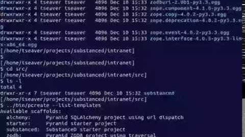 SubstanceD Screencast #2:  Generating the Initial 