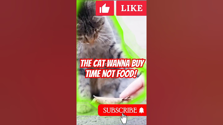 ❤❤This Cat Didn’t Want Food  Just 30 Minutes of Love❤#caycanh #cute #sadcattos
