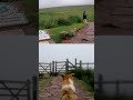 Windy conditions in Snowdonia, Wales