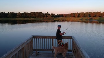 First Flight with DJI Spark