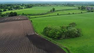 Manley, Cheshire UK, quick flight after litter picking