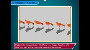 Formation of Shadows | Science Class 4
