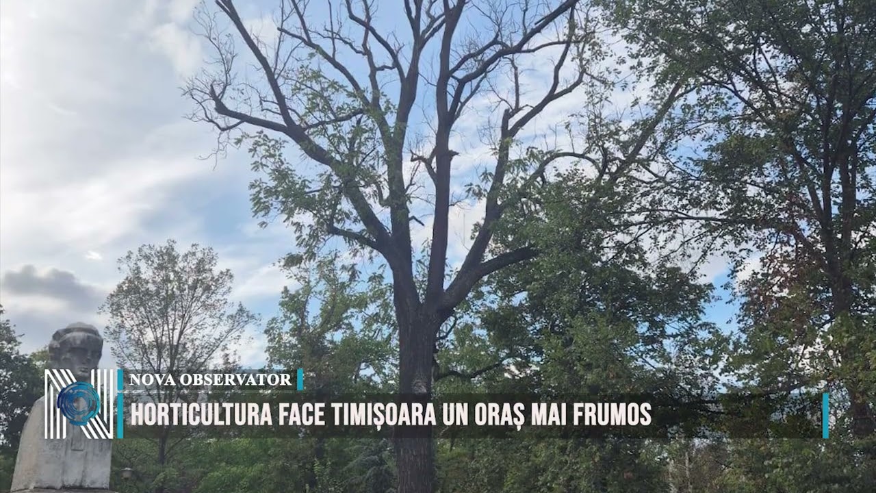 Horticultura face Timișoara un oraș mai frumos