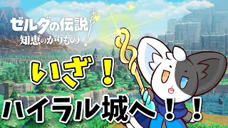 【ゼルダの伝説　知恵のかりもの】偽王をぶっ飛ばせ！ハイラル城へカチコミじゃい！#4【Vtuber】
