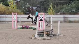 SD PRANCER