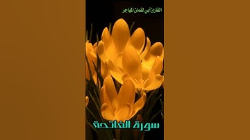 تلاوة سورة الفاتحة للقارئ أبي لقمان المهاجر #صوتيات_من_شامنا