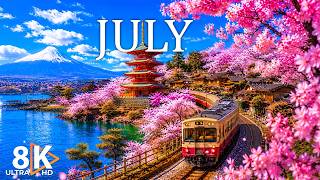 July Flower Sunrise in 8K 🌸 Morning Blossoms, Golden Light & Peaceful Nature