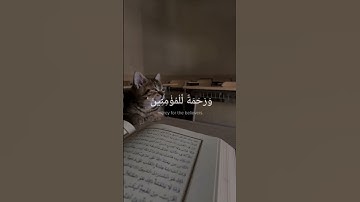 #الله #لا_اله_الا_الله #تلاوة_خاشعة #رح_سمعك #شيخ احمد العجمي #قران_كريم 1.شفاء 2.رحمة 3. هدايه.