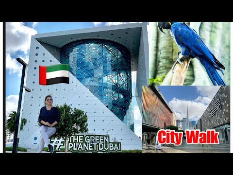 DISCOVERING THE GREEN PLANET DUBAI & CITY WALK | A TROPICAL URBAN ADVENTURE | GING SOZ COLLECTION