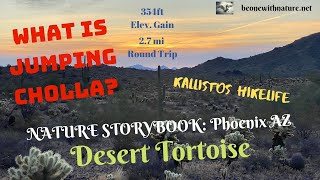 Desert Tortoise Trail Storybook: Phoenix, AZ by Kalli Moon Adventures 35 views 4 years ago 1 minute, 31 seconds