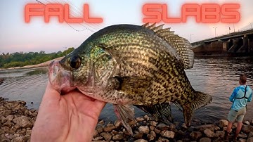 FALL CRAPPIE FISHING FROM THE BANK! (Secret for Slabs!)