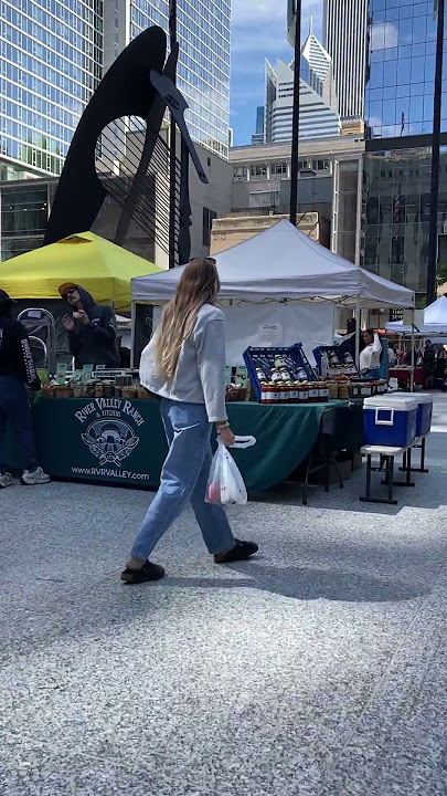 Is Chicago REALLY The Best City to Live in 2025?