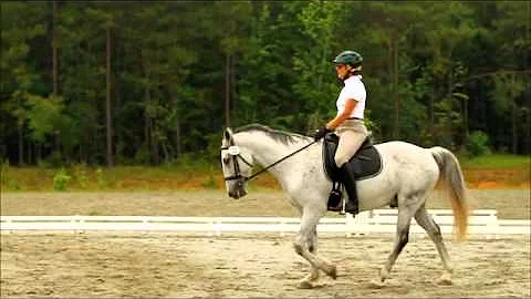 Deborah Hollis Training 2