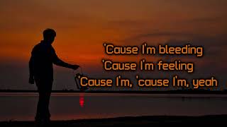 SayWeCanFly - Nosebleed [Lyrics on screen]