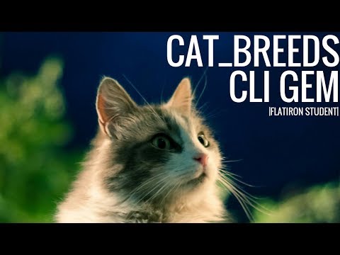 cat_breeds CLI Gem Demo || Flatiron Student - CLI Gem Portfolio Project #1