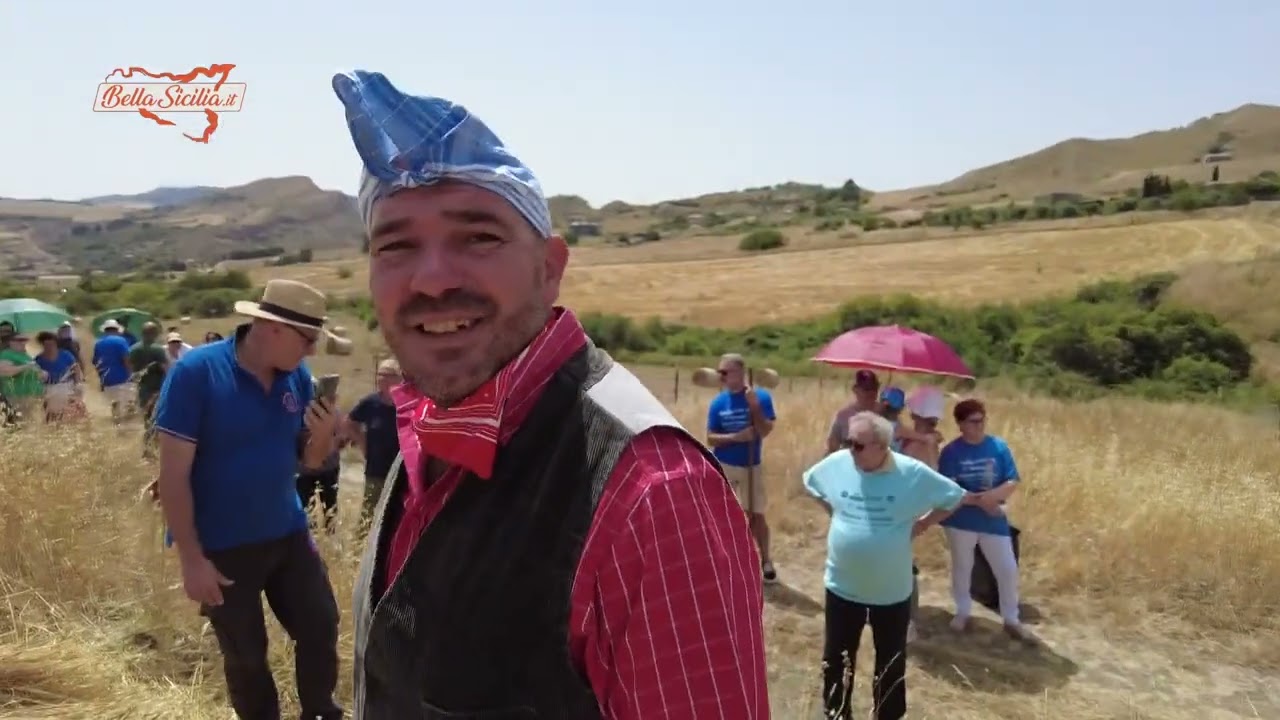 La mietitura dei grani antichi siciliani nel borgo di Gangi