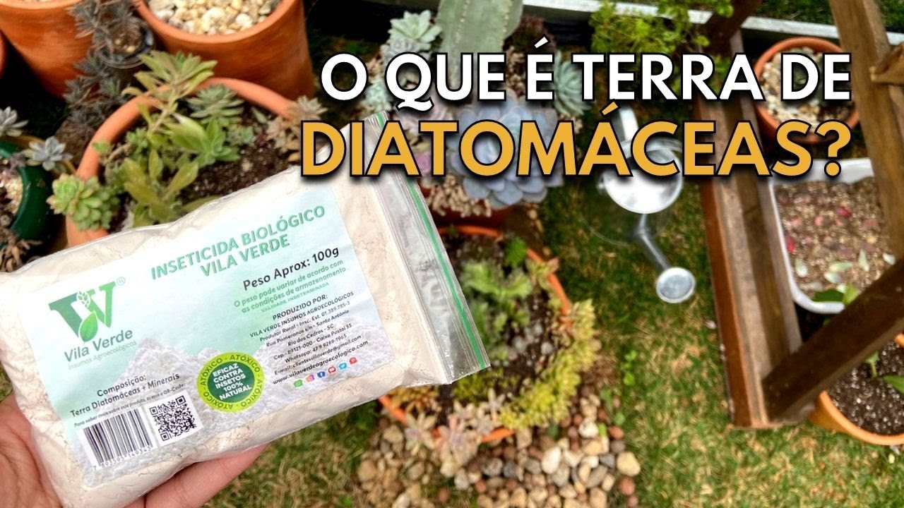 TERRA DE DIATOMÁCEAS:  Para que serve? Como utilizar? Onde comprar?