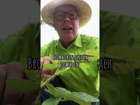 Brombeeren einfach loswerden