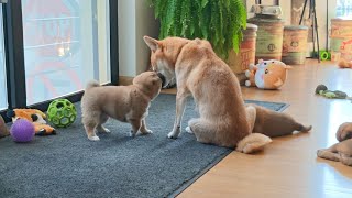 A kiss for u mommy