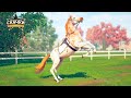 Создаем новую лошадь и совершаем прогулку 🌺 Rival Stars Horse Racing Состязание звезд скачки