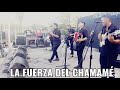 La Fuerza del Chamame 2019 en vivo Parte 2