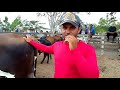 FEIRA DE GADO EM CAMPO GRANDE Alagoas