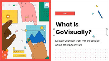 What is GoVisually?