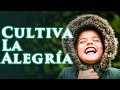 De la tristeza a la alegría - Cultiva una actitud alegre - Consejos para ser feliz