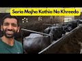 Don’t buy all your buffaloes together.