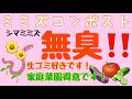 【3回シリーズ 第1弾 コンポストの準備】買ったミミズを増やして、いろんな使い方をしてみよう😆 #ミミズ #コンポスト #準備