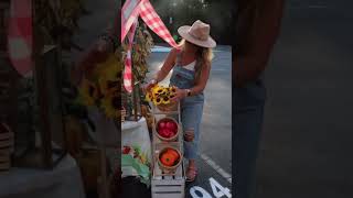 Farmers Market Trunk or Treat Theme Farmers Market Trunk or Treat Theme