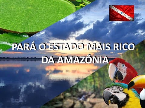 PORQUE INVESTIR NO PARÁ O ESTADO MAIS RICO DA AMAZÔNIA.