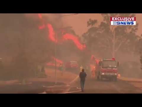 Video: Avstraliyada meşə yanğını dayanıb?