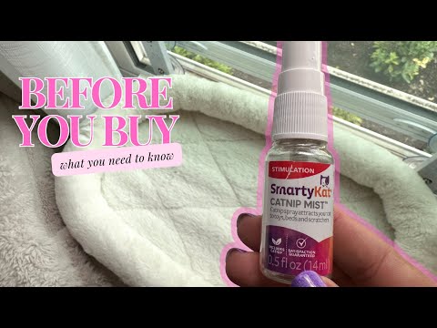 Does Kitty Love This $2 Spray? Live Reaction: SmartyKat Catnip Mist | Stimulation Bed Scratcher Toys