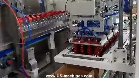 Water bottle robot hand pick encasing machine water bottle cartoning line