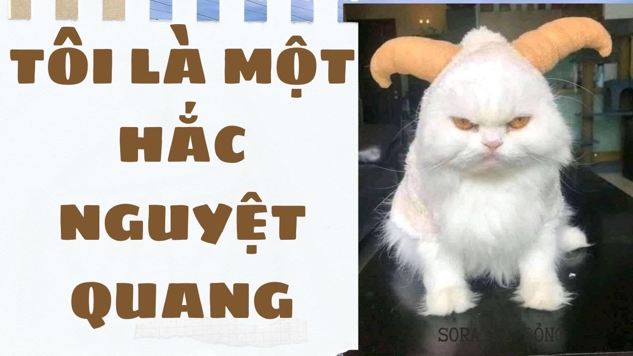 [Truyện Audio ] [FULL] TÔI LÀ MỘT HẮC NGUYỆT QUANG || Sora Bé Bỏng