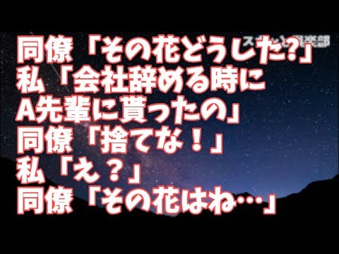 【修羅場】結婚妊娠を機に退職した私に会いに来てくれた同僚「その花、どうしたの？」私「辞める時にA先輩に貰ったの」同僚「捨てな！」私「え？」同僚「その花はね…」