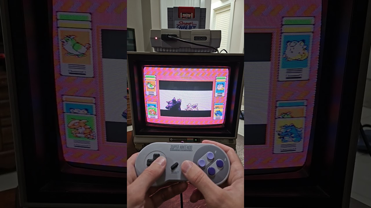 Pokemon Red CRT gameplay