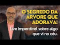 O segredo da rvore que adorava