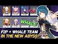 2.0 ABYSS BUT I BRING BOTH F2P AND WHALE TEAM