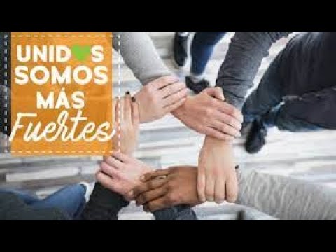 Video: Jardines De Infancia Privados: ¿por Qué Se Oponen Los Profesores Y Psicólogos Experimentados?