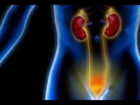 القولون العصبي الاعراض والاسباب والعلاج يوتيوب