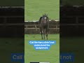 Unfortunately you need to return with your jockey to win! #horses #horseracing #horsenation #funny