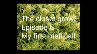 The closet grow: Episode 6 - My first mail call, from KaliGrownBudz