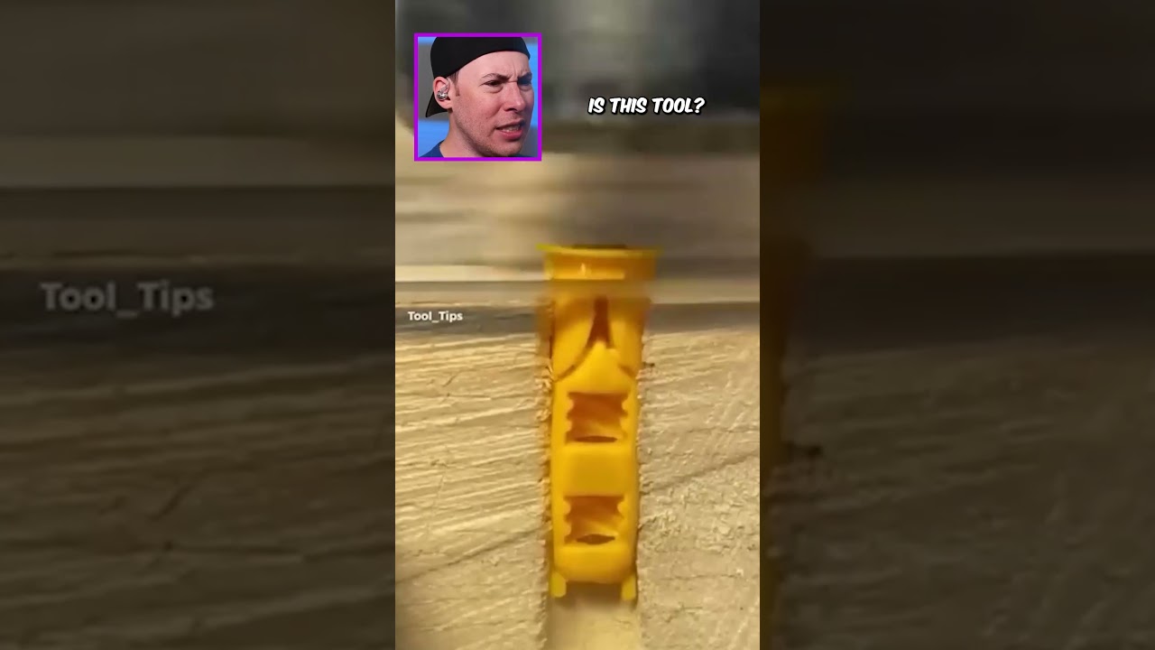 These Videos Broke the Internet