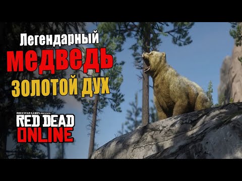 Видео: RDO ЛЕГЕНДАРНЫЙ МЕДВЕДЬ - ЗОЛОТОЙ ДУХ