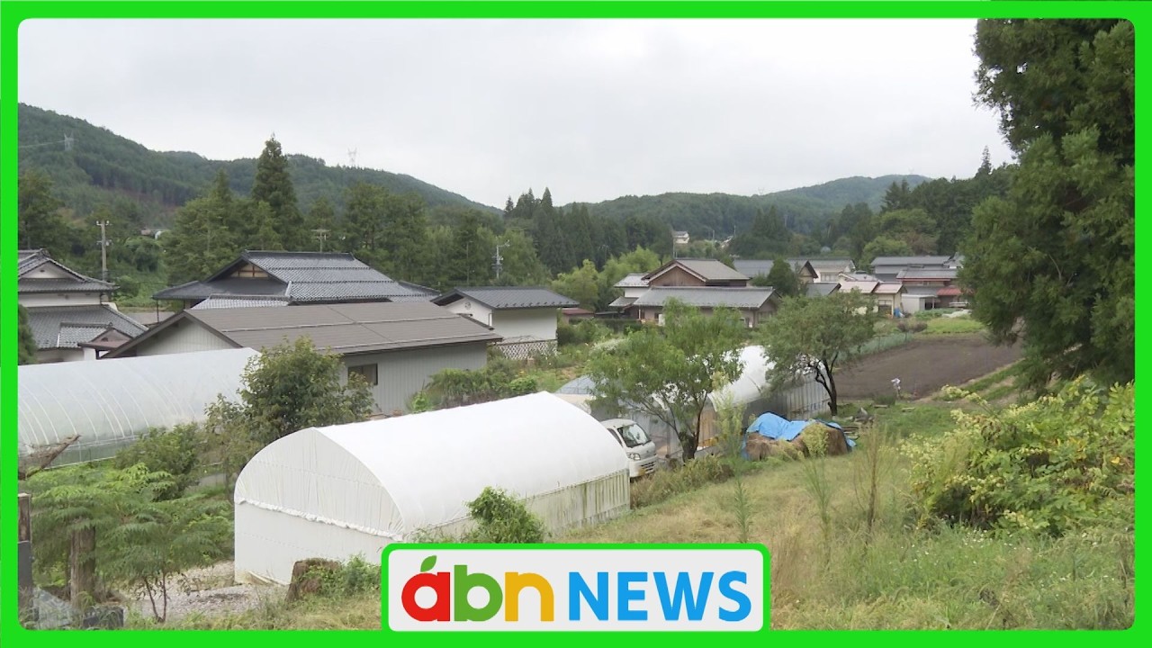 Pet dog attacked and injured by bear in residential yard; resident