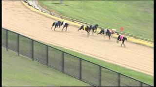 WBL FRI 19 FEB 16 R11