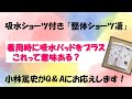 【吸水ショーツ】女性の悩み『尿漏れ』。吸水パッドの併用は効果あり？【整体ショーツQ&A 61】